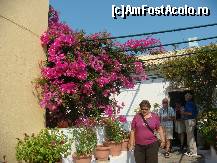 [P09] in incinta manastirii printre flori superbe... » foto by sandu.53
 - 
<span class="allrVoted glyphicon glyphicon-heart hidden" id="av265856"></span>
<a class="m-l-10 hidden" id="sv265856" onclick="voting_Foto_DelVot(,265856,12630)" role="button">șterge vot <span class="glyphicon glyphicon-remove"></span></a>
<a id="v9265856" class=" c-red"  onclick="voting_Foto_SetVot(265856)" role="button"><span class="glyphicon glyphicon-heart-empty"></span> <b>LIKE</b> = Votează poza</a> <img class="hidden"  id="f265856W9" src="/imagini/loader.gif" border="0" /><span class="AjErrMes hidden" id="e265856ErM"></span>