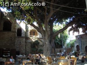 [P13] Cafe Auvergne-masa de sub copac era locul meu de relaxare la umbră.  » foto by mireille
 - 
<span class="allrVoted glyphicon glyphicon-heart hidden" id="av1070227"></span>
<a class="m-l-10 hidden" id="sv1070227" onclick="voting_Foto_DelVot(,1070227,12653)" role="button">șterge vot <span class="glyphicon glyphicon-remove"></span></a>
<a id="v91070227" class=" c-red"  onclick="voting_Foto_SetVot(1070227)" role="button"><span class="glyphicon glyphicon-heart-empty"></span> <b>LIKE</b> = Votează poza</a> <img class="hidden"  id="f1070227W9" src="/imagini/loader.gif" border="0" /><span class="AjErrMes hidden" id="e1070227ErM"></span>