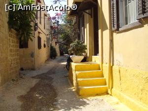 [P17] Pisicile, prietenele mele.  » foto by mireille
 - 
<span class="allrVoted glyphicon glyphicon-heart hidden" id="av1070231"></span>
<a class="m-l-10 hidden" id="sv1070231" onclick="voting_Foto_DelVot(,1070231,12653)" role="button">șterge vot <span class="glyphicon glyphicon-remove"></span></a>
<a id="v91070231" class=" c-red"  onclick="voting_Foto_SetVot(1070231)" role="button"><span class="glyphicon glyphicon-heart-empty"></span> <b>LIKE</b> = Votează poza</a> <img class="hidden"  id="f1070231W9" src="/imagini/loader.gif" border="0" /><span class="AjErrMes hidden" id="e1070231ErM"></span>