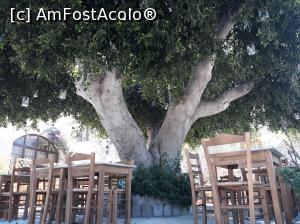 [P18] Natura la ea acasă.  » foto by mireille
 - 
<span class="allrVoted glyphicon glyphicon-heart hidden" id="av1070232"></span>
<a class="m-l-10 hidden" id="sv1070232" onclick="voting_Foto_DelVot(,1070232,12653)" role="button">șterge vot <span class="glyphicon glyphicon-remove"></span></a>
<a id="v91070232" class=" c-red"  onclick="voting_Foto_SetVot(1070232)" role="button"><span class="glyphicon glyphicon-heart-empty"></span> <b>LIKE</b> = Votează poza</a> <img class="hidden"  id="f1070232W9" src="/imagini/loader.gif" border="0" /><span class="AjErrMes hidden" id="e1070232ErM"></span>