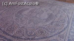 [P50] Un mozaic din perioada romana.  » foto by ovidiuyepi
 - 
<span class="allrVoted glyphicon glyphicon-heart hidden" id="av1029701"></span>
<a class="m-l-10 hidden" id="sv1029701" onclick="voting_Foto_DelVot(,1029701,12653)" role="button">șterge vot <span class="glyphicon glyphicon-remove"></span></a>
<a id="v91029701" class=" c-red"  onclick="voting_Foto_SetVot(1029701)" role="button"><span class="glyphicon glyphicon-heart-empty"></span> <b>LIKE</b> = Votează poza</a> <img class="hidden"  id="f1029701W9" src="/imagini/loader.gif" border="0" /><span class="AjErrMes hidden" id="e1029701ErM"></span>