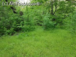 [P06] Verde crud în Munții Măcinului. » foto by Floryn81
 - 
<span class="allrVoted glyphicon glyphicon-heart hidden" id="av1224637"></span>
<a class="m-l-10 hidden" id="sv1224637" onclick="voting_Foto_DelVot(,1224637,12680)" role="button">șterge vot <span class="glyphicon glyphicon-remove"></span></a>
<a id="v91224637" class=" c-red"  onclick="voting_Foto_SetVot(1224637)" role="button"><span class="glyphicon glyphicon-heart-empty"></span> <b>LIKE</b> = Votează poza</a> <img class="hidden"  id="f1224637W9" src="/imagini/loader.gif" border="0" /><span class="AjErrMes hidden" id="e1224637ErM"></span>