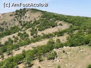 [P11] Vegetatie specifica Muntilor Macin » foto by Dan&Ema
 - 
<span class="allrVoted glyphicon glyphicon-heart hidden" id="av1073446"></span>
<a class="m-l-10 hidden" id="sv1073446" onclick="voting_Foto_DelVot(,1073446,12680)" role="button">șterge vot <span class="glyphicon glyphicon-remove"></span></a>
<a id="v91073446" class=" c-red"  onclick="voting_Foto_SetVot(1073446)" role="button"><span class="glyphicon glyphicon-heart-empty"></span> <b>LIKE</b> = Votează poza</a> <img class="hidden"  id="f1073446W9" src="/imagini/loader.gif" border="0" /><span class="AjErrMes hidden" id="e1073446ErM"></span>
