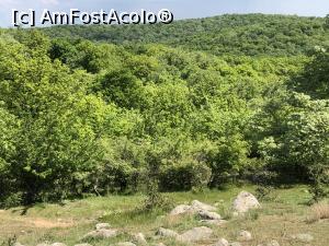 [P16] Vedere de pe Varful Ghiunaltu catre localitatea Luncavita - umbra si padure intr-acolo » foto by Dan&Ema
 - 
<span class="allrVoted glyphicon glyphicon-heart hidden" id="av1073451"></span>
<a class="m-l-10 hidden" id="sv1073451" onclick="voting_Foto_DelVot(,1073451,12680)" role="button">șterge vot <span class="glyphicon glyphicon-remove"></span></a>
<a id="v91073451" class=" c-red"  onclick="voting_Foto_SetVot(1073451)" role="button"><span class="glyphicon glyphicon-heart-empty"></span> <b>LIKE</b> = Votează poza</a> <img class="hidden"  id="f1073451W9" src="/imagini/loader.gif" border="0" /><span class="AjErrMes hidden" id="e1073451ErM"></span>