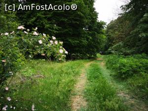 [P10] Traseul Cozluk - &bdquo;frumoasă ești, pădurea mea&rdquo;! » foto by crismis
 - 
<span class="allrVoted glyphicon glyphicon-heart hidden" id="av1163584"></span>
<a class="m-l-10 hidden" id="sv1163584" onclick="voting_Foto_DelVot(,1163584,12680)" role="button">șterge vot <span class="glyphicon glyphicon-remove"></span></a>
<a id="v91163584" class=" c-red"  onclick="voting_Foto_SetVot(1163584)" role="button"><span class="glyphicon glyphicon-heart-empty"></span> <b>LIKE</b> = Votează poza</a> <img class="hidden"  id="f1163584W9" src="/imagini/loader.gif" border="0" /><span class="AjErrMes hidden" id="e1163584ErM"></span>