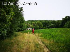 [P12] Traseul Cozluk - pe fundal, cantonul » foto by crismis
 - 
<span class="allrVoted glyphicon glyphicon-heart hidden" id="av1163586"></span>
<a class="m-l-10 hidden" id="sv1163586" onclick="voting_Foto_DelVot(,1163586,12680)" role="button">șterge vot <span class="glyphicon glyphicon-remove"></span></a>
<a id="v91163586" class=" c-red"  onclick="voting_Foto_SetVot(1163586)" role="button"><span class="glyphicon glyphicon-heart-empty"></span> <b>LIKE</b> = Votează poza</a> <img class="hidden"  id="f1163586W9" src="/imagini/loader.gif" border="0" /><span class="AjErrMes hidden" id="e1163586ErM"></span>