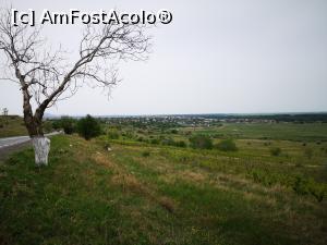 [P02] Orașul Măcin văzut de pe șosea, din locul unde am salvat țestoasa » foto by crismis
 - 
<span class="allrVoted glyphicon glyphicon-heart hidden" id="av1163576"></span>
<a class="m-l-10 hidden" id="sv1163576" onclick="voting_Foto_DelVot(,1163576,12680)" role="button">șterge vot <span class="glyphicon glyphicon-remove"></span></a>
<a id="v91163576" class=" c-red"  onclick="voting_Foto_SetVot(1163576)" role="button"><span class="glyphicon glyphicon-heart-empty"></span> <b>LIKE</b> = Votează poza</a> <img class="hidden"  id="f1163576W9" src="/imagini/loader.gif" border="0" /><span class="AjErrMes hidden" id="e1163576ErM"></span>