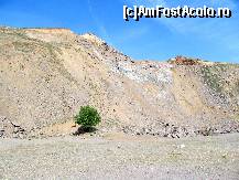 [P24] Versant dezolant la Iacobdeal, la poalele căruia se află un arbore singular (probabil xeroterm...)  » foto by Neptunus
 - 
<span class="allrVoted glyphicon glyphicon-heart hidden" id="av471953"></span>
<a class="m-l-10 hidden" id="sv471953" onclick="voting_Foto_DelVot(,471953,12680)" role="button">șterge vot <span class="glyphicon glyphicon-remove"></span></a>
<a id="v9471953" class=" c-red"  onclick="voting_Foto_SetVot(471953)" role="button"><span class="glyphicon glyphicon-heart-empty"></span> <b>LIKE</b> = Votează poza</a> <img class="hidden"  id="f471953W9" src="/imagini/loader.gif" border="0" /><span class="AjErrMes hidden" id="e471953ErM"></span>