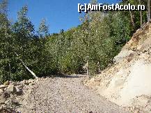 [P59] Tot înainte, către casă.  » foto by Floryn81
 - 
<span class="allrVoted glyphicon glyphicon-heart hidden" id="av382933"></span>
<a class="m-l-10 hidden" id="sv382933" onclick="voting_Foto_DelVot(,382933,12715)" role="button">șterge vot <span class="glyphicon glyphicon-remove"></span></a>
<a id="v9382933" class=" c-red"  onclick="voting_Foto_SetVot(382933)" role="button"><span class="glyphicon glyphicon-heart-empty"></span> <b>LIKE</b> = Votează poza</a> <img class="hidden"  id="f382933W9" src="/imagini/loader.gif" border="0" /><span class="AjErrMes hidden" id="e382933ErM"></span>