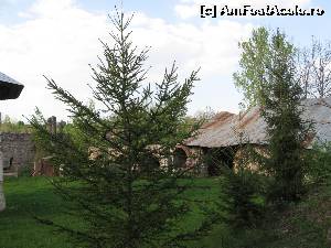 [P14] Ruinele caselor boierești/chiliilor din curtea fostei mănăstiri Bradu.  » foto by tata123 🔱
 - 
<span class="allrVoted glyphicon glyphicon-heart hidden" id="av590160"></span>
<a class="m-l-10 hidden" id="sv590160" onclick="voting_Foto_DelVot(,590160,12715)" role="button">șterge vot <span class="glyphicon glyphicon-remove"></span></a>
<a id="v9590160" class=" c-red"  onclick="voting_Foto_SetVot(590160)" role="button"><span class="glyphicon glyphicon-heart-empty"></span> <b>LIKE</b> = Votează poza</a> <img class="hidden"  id="f590160W9" src="/imagini/loader.gif" border="0" /><span class="AjErrMes hidden" id="e590160ErM"></span>