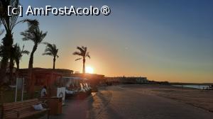 [P26] in zare...centru vechi al Sahl Hasheesh » foto by artemisa24
 - 
<span class="allrVoted glyphicon glyphicon-heart hidden" id="av1542443"></span>
<a class="m-l-10 hidden" id="sv1542443" onclick="voting_Foto_DelVot(,1542443,12724)" role="button">șterge vot <span class="glyphicon glyphicon-remove"></span></a>
<a id="v91542443" class=" c-red"  onclick="voting_Foto_SetVot(1542443)" role="button"><span class="glyphicon glyphicon-heart-empty"></span> <b>LIKE</b> = Votează poza</a> <img class="hidden"  id="f1542443W9" src="/imagini/loader.gif" border="0" /><span class="AjErrMes hidden" id="e1542443ErM"></span>