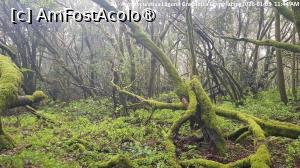 [P02] Área recreativa Laguna Grande (La Gomera) » foto by Dracula63
 - 
<span class="allrVoted glyphicon glyphicon-heart hidden" id="av1532824"></span>
<a class="m-l-10 hidden" id="sv1532824" onclick="voting_Foto_DelVot(,1532824,12735)" role="button">șterge vot <span class="glyphicon glyphicon-remove"></span></a>
<a id="v91532824" class=" c-red"  onclick="voting_Foto_SetVot(1532824)" role="button"><span class="glyphicon glyphicon-heart-empty"></span> <b>LIKE</b> = Votează poza</a> <img class="hidden"  id="f1532824W9" src="/imagini/loader.gif" border="0" /><span class="AjErrMes hidden" id="e1532824ErM"></span>
