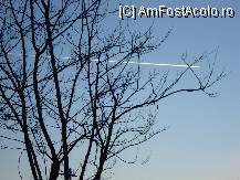 [P24] un avion ce brazda cerul...parca eram mai aproape de el.. » foto by libertango
 - 
<span class="allrVoted glyphicon glyphicon-heart hidden" id="av57368"></span>
<a class="m-l-10 hidden" id="sv57368" onclick="voting_Foto_DelVot(,57368,12752)" role="button">șterge vot <span class="glyphicon glyphicon-remove"></span></a>
<a id="v957368" class=" c-red"  onclick="voting_Foto_SetVot(57368)" role="button"><span class="glyphicon glyphicon-heart-empty"></span> <b>LIKE</b> = Votează poza</a> <img class="hidden"  id="f57368W9" src="/imagini/loader.gif" border="0" /><span class="AjErrMes hidden" id="e57368ErM"></span>