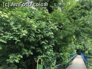 [P19]  -- <small>// FĂRĂ DESCRIERE</small> » foto by mishu
 - 
<span class="allrVoted glyphicon glyphicon-heart hidden" id="av1306937"></span>
<a class="m-l-10 hidden" id="sv1306937" onclick="voting_Foto_DelVot(,1306937,12753)" role="button">șterge vot <span class="glyphicon glyphicon-remove"></span></a>
<a id="v91306937" class=" c-red"  onclick="voting_Foto_SetVot(1306937)" role="button"><span class="glyphicon glyphicon-heart-empty"></span> <b>LIKE</b> = Votează poza</a> <img class="hidden"  id="f1306937W9" src="/imagini/loader.gif" border="0" /><span class="AjErrMes hidden" id="e1306937ErM"></span>