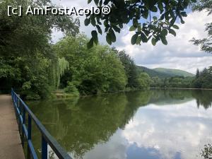 [P20]  -- <small>// FĂRĂ DESCRIERE</small> » foto by mishu
 - 
<span class="allrVoted glyphicon glyphicon-heart hidden" id="av1306938"></span>
<a class="m-l-10 hidden" id="sv1306938" onclick="voting_Foto_DelVot(,1306938,12753)" role="button">șterge vot <span class="glyphicon glyphicon-remove"></span></a>
<a id="v91306938" class=" c-red"  onclick="voting_Foto_SetVot(1306938)" role="button"><span class="glyphicon glyphicon-heart-empty"></span> <b>LIKE</b> = Votează poza</a> <img class="hidden"  id="f1306938W9" src="/imagini/loader.gif" border="0" /><span class="AjErrMes hidden" id="e1306938ErM"></span>