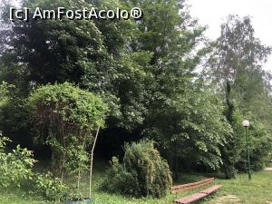 [P25]  -- <small>// FĂRĂ DESCRIERE</small> » foto by mishu
 - 
<span class="allrVoted glyphicon glyphicon-heart hidden" id="av1306943"></span>
<a class="m-l-10 hidden" id="sv1306943" onclick="voting_Foto_DelVot(,1306943,12753)" role="button">șterge vot <span class="glyphicon glyphicon-remove"></span></a>
<a id="v91306943" class=" c-red"  onclick="voting_Foto_SetVot(1306943)" role="button"><span class="glyphicon glyphicon-heart-empty"></span> <b>LIKE</b> = Votează poza</a> <img class="hidden"  id="f1306943W9" src="/imagini/loader.gif" border="0" /><span class="AjErrMes hidden" id="e1306943ErM"></span>