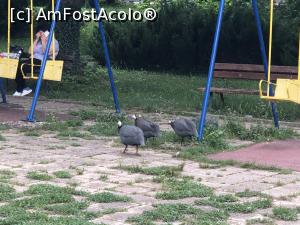 [P29]  -- <small>// FĂRĂ DESCRIERE</small> » foto by mishu
 - 
<span class="allrVoted glyphicon glyphicon-heart hidden" id="av1306947"></span>
<a class="m-l-10 hidden" id="sv1306947" onclick="voting_Foto_DelVot(,1306947,12753)" role="button">șterge vot <span class="glyphicon glyphicon-remove"></span></a>
<a id="v91306947" class=" c-red"  onclick="voting_Foto_SetVot(1306947)" role="button"><span class="glyphicon glyphicon-heart-empty"></span> <b>LIKE</b> = Votează poza</a> <img class="hidden"  id="f1306947W9" src="/imagini/loader.gif" border="0" /><span class="AjErrMes hidden" id="e1306947ErM"></span>