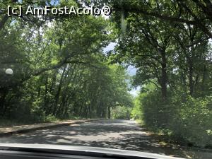 [P53]  -- <small>// FĂRĂ DESCRIERE</small> » foto by mishu
 - 
<span class="allrVoted glyphicon glyphicon-heart hidden" id="av1306971"></span>
<a class="m-l-10 hidden" id="sv1306971" onclick="voting_Foto_DelVot(,1306971,12753)" role="button">șterge vot <span class="glyphicon glyphicon-remove"></span></a>
<a id="v91306971" class=" c-red"  onclick="voting_Foto_SetVot(1306971)" role="button"><span class="glyphicon glyphicon-heart-empty"></span> <b>LIKE</b> = Votează poza</a> <img class="hidden"  id="f1306971W9" src="/imagini/loader.gif" border="0" /><span class="AjErrMes hidden" id="e1306971ErM"></span>