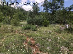 [P71]  -- <small>// FĂRĂ DESCRIERE</small> » foto by mishu
 - 
<span class="allrVoted glyphicon glyphicon-heart hidden" id="av1306989"></span>
<a class="m-l-10 hidden" id="sv1306989" onclick="voting_Foto_DelVot(,1306989,12753)" role="button">șterge vot <span class="glyphicon glyphicon-remove"></span></a>
<a id="v91306989" class=" c-red"  onclick="voting_Foto_SetVot(1306989)" role="button"><span class="glyphicon glyphicon-heart-empty"></span> <b>LIKE</b> = Votează poza</a> <img class="hidden"  id="f1306989W9" src="/imagini/loader.gif" border="0" /><span class="AjErrMes hidden" id="e1306989ErM"></span>