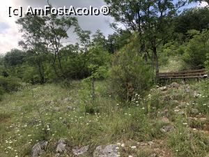 [P72]  -- <small>// FĂRĂ DESCRIERE</small> » foto by mishu
 - 
<span class="allrVoted glyphicon glyphicon-heart hidden" id="av1306990"></span>
<a class="m-l-10 hidden" id="sv1306990" onclick="voting_Foto_DelVot(,1306990,12753)" role="button">șterge vot <span class="glyphicon glyphicon-remove"></span></a>
<a id="v91306990" class=" c-red"  onclick="voting_Foto_SetVot(1306990)" role="button"><span class="glyphicon glyphicon-heart-empty"></span> <b>LIKE</b> = Votează poza</a> <img class="hidden"  id="f1306990W9" src="/imagini/loader.gif" border="0" /><span class="AjErrMes hidden" id="e1306990ErM"></span>