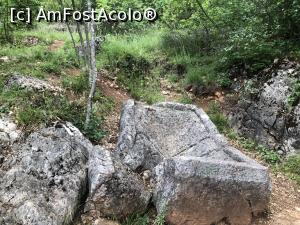 [P80]  -- <small>// FĂRĂ DESCRIERE</small> » foto by mishu
 - 
<span class="allrVoted glyphicon glyphicon-heart hidden" id="av1306998"></span>
<a class="m-l-10 hidden" id="sv1306998" onclick="voting_Foto_DelVot(,1306998,12753)" role="button">șterge vot <span class="glyphicon glyphicon-remove"></span></a>
<a id="v91306998" class=" c-red"  onclick="voting_Foto_SetVot(1306998)" role="button"><span class="glyphicon glyphicon-heart-empty"></span> <b>LIKE</b> = Votează poza</a> <img class="hidden"  id="f1306998W9" src="/imagini/loader.gif" border="0" /><span class="AjErrMes hidden" id="e1306998ErM"></span>