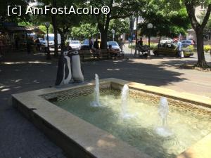 [P66] Stara Zagora - Un oras verde » foto by mishu
 - 
<span class="allrVoted glyphicon glyphicon-heart hidden" id="av1308661"></span>
<a class="m-l-10 hidden" id="sv1308661" onclick="voting_Foto_DelVot(,1308661,12753)" role="button">șterge vot <span class="glyphicon glyphicon-remove"></span></a>
<a id="v91308661" class=" c-red"  onclick="voting_Foto_SetVot(1308661)" role="button"><span class="glyphicon glyphicon-heart-empty"></span> <b>LIKE</b> = Votează poza</a> <img class="hidden"  id="f1308661W9" src="/imagini/loader.gif" border="0" /><span class="AjErrMes hidden" id="e1308661ErM"></span>