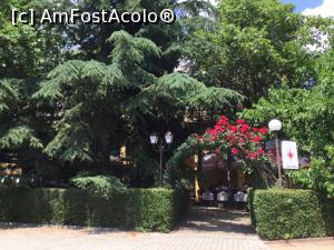 [P70] Stara Zagora - Un oras verde » foto by mishu
 - 
<span class="allrVoted glyphicon glyphicon-heart hidden" id="av1308665"></span>
<a class="m-l-10 hidden" id="sv1308665" onclick="voting_Foto_DelVot(,1308665,12753)" role="button">șterge vot <span class="glyphicon glyphicon-remove"></span></a>
<a id="v91308665" class=" c-red"  onclick="voting_Foto_SetVot(1308665)" role="button"><span class="glyphicon glyphicon-heart-empty"></span> <b>LIKE</b> = Votează poza</a> <img class="hidden"  id="f1308665W9" src="/imagini/loader.gif" border="0" /><span class="AjErrMes hidden" id="e1308665ErM"></span>