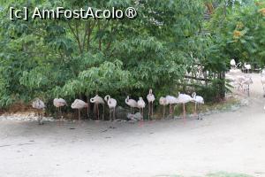 [P25]  -- <small>// FĂRĂ DESCRIERE</small> » foto by mont
 - 
<span class="allrVoted glyphicon glyphicon-heart hidden" id="av1511773"></span>
<a class="m-l-10 hidden" id="sv1511773" onclick="voting_Foto_DelVot(,1511773,12774)" role="button">șterge vot <span class="glyphicon glyphicon-remove"></span></a>
<a id="v91511773" class=" c-red"  onclick="voting_Foto_SetVot(1511773)" role="button"><span class="glyphicon glyphicon-heart-empty"></span> <b>LIKE</b> = Votează poza</a> <img class="hidden"  id="f1511773W9" src="/imagini/loader.gif" border="0" /><span class="AjErrMes hidden" id="e1511773ErM"></span>