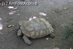 [P42]  -- <small>// FĂRĂ DESCRIERE</small> » foto by mont
 - 
<span class="allrVoted glyphicon glyphicon-heart hidden" id="av1511790"></span>
<a class="m-l-10 hidden" id="sv1511790" onclick="voting_Foto_DelVot(,1511790,12774)" role="button">șterge vot <span class="glyphicon glyphicon-remove"></span></a>
<a id="v91511790" class=" c-red"  onclick="voting_Foto_SetVot(1511790)" role="button"><span class="glyphicon glyphicon-heart-empty"></span> <b>LIKE</b> = Votează poza</a> <img class="hidden"  id="f1511790W9" src="/imagini/loader.gif" border="0" /><span class="AjErrMes hidden" id="e1511790ErM"></span>