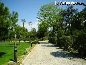 [P06] Gradina interioara » foto by lorelei34
 - 
<span class="allrVoted glyphicon glyphicon-heart hidden" id="av368874"></span>
<a class="m-l-10 hidden" id="sv368874" onclick="voting_Foto_DelVot(,368874,12797)" role="button">șterge vot <span class="glyphicon glyphicon-remove"></span></a>
<a id="v9368874" class=" c-red"  onclick="voting_Foto_SetVot(368874)" role="button"><span class="glyphicon glyphicon-heart-empty"></span> <b>LIKE</b> = Votează poza</a> <img class="hidden"  id="f368874W9" src="/imagini/loader.gif" border="0" /><span class="AjErrMes hidden" id="e368874ErM"></span>