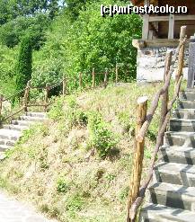 [P13] Scări înguste, balustrade simple din lemn şi multă verdeaţă... » foto by corinka
 - 
<span class="allrVoted glyphicon glyphicon-heart hidden" id="av87394"></span>
<a class="m-l-10 hidden" id="sv87394" onclick="voting_Foto_DelVot(,87394,12834)" role="button">șterge vot <span class="glyphicon glyphicon-remove"></span></a>
<a id="v987394" class=" c-red"  onclick="voting_Foto_SetVot(87394)" role="button"><span class="glyphicon glyphicon-heart-empty"></span> <b>LIKE</b> = Votează poza</a> <img class="hidden"  id="f87394W9" src="/imagini/loader.gif" border="0" /><span class="AjErrMes hidden" id="e87394ErM"></span>