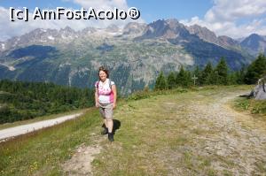 [P19]  -- <small>// FĂRĂ DESCRIERE</small> » foto by GIN2015*
 - 
<span class="allrVoted glyphicon glyphicon-heart hidden" id="av803794"></span>
<a class="m-l-10 hidden" id="sv803794" onclick="voting_Foto_DelVot(,803794,12870)" role="button">șterge vot <span class="glyphicon glyphicon-remove"></span></a>
<a id="v9803794" class=" c-red"  onclick="voting_Foto_SetVot(803794)" role="button"><span class="glyphicon glyphicon-heart-empty"></span> <b>LIKE</b> = Votează poza</a> <img class="hidden"  id="f803794W9" src="/imagini/loader.gif" border="0" /><span class="AjErrMes hidden" id="e803794ErM"></span>