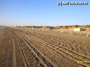 [P11] Dimineata devreme se face curatenia pe plaja » foto by cathzel
 - 
<span class="allrVoted glyphicon glyphicon-heart hidden" id="av372115"></span>
<a class="m-l-10 hidden" id="sv372115" onclick="voting_Foto_DelVot(,372115,12876)" role="button">șterge vot <span class="glyphicon glyphicon-remove"></span></a>
<a id="v9372115" class=" c-red"  onclick="voting_Foto_SetVot(372115)" role="button"><span class="glyphicon glyphicon-heart-empty"></span> <b>LIKE</b> = Votează poza</a> <img class="hidden"  id="f372115W9" src="/imagini/loader.gif" border="0" /><span class="AjErrMes hidden" id="e372115ErM"></span>