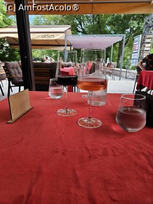 [P20] Masa noastră la a doua vizită » foto by DOINITA
 - 
<span class="allrVoted glyphicon glyphicon-heart hidden" id="av1499261"></span>
<a class="m-l-10 hidden" id="sv1499261" onclick="voting_Foto_DelVot(,1499261,12895)" role="button">șterge vot <span class="glyphicon glyphicon-remove"></span></a>
<a id="v91499261" class=" c-red"  onclick="voting_Foto_SetVot(1499261)" role="button"><span class="glyphicon glyphicon-heart-empty"></span> <b>LIKE</b> = Votează poza</a> <img class="hidden"  id="f1499261W9" src="/imagini/loader.gif" border="0" /><span class="AjErrMes hidden" id="e1499261ErM"></span>