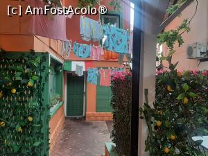 [P13] Cannoleria Iași » foto by adso
 - 
<span class="allrVoted glyphicon glyphicon-heart hidden" id="av1534271"></span>
<a class="m-l-10 hidden" id="sv1534271" onclick="voting_Foto_DelVot(,1534271,12895)" role="button">șterge vot <span class="glyphicon glyphicon-remove"></span></a>
<a id="v91534271" class=" c-red"  onclick="voting_Foto_SetVot(1534271)" role="button"><span class="glyphicon glyphicon-heart-empty"></span> <b>LIKE</b> = Votează poza</a> <img class="hidden"  id="f1534271W9" src="/imagini/loader.gif" border="0" /><span class="AjErrMes hidden" id="e1534271ErM"></span>