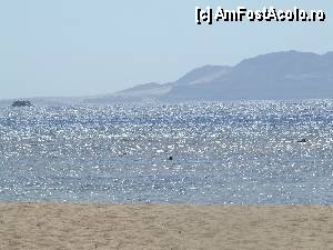 [P01] Plaja Coral Beach Montazah » foto by Quasar
 - 
<span class="allrVoted glyphicon glyphicon-heart hidden" id="av373020"></span>
<a class="m-l-10 hidden" id="sv373020" onclick="voting_Foto_DelVot(,373020,12899)" role="button">șterge vot <span class="glyphicon glyphicon-remove"></span></a>
<a id="v9373020" class=" c-red"  onclick="voting_Foto_SetVot(373020)" role="button"><span class="glyphicon glyphicon-heart-empty"></span> <b>LIKE</b> = Votează poza</a> <img class="hidden"  id="f373020W9" src="/imagini/loader.gif" border="0" /><span class="AjErrMes hidden" id="e373020ErM"></span>