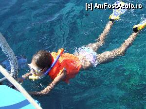 [P03] Snorkeling » foto by Quasar
 - 
<span class="allrVoted glyphicon glyphicon-heart hidden" id="av373022"></span>
<a class="m-l-10 hidden" id="sv373022" onclick="voting_Foto_DelVot(,373022,12899)" role="button">șterge vot <span class="glyphicon glyphicon-remove"></span></a>
<a id="v9373022" class=" c-red"  onclick="voting_Foto_SetVot(373022)" role="button"><span class="glyphicon glyphicon-heart-empty"></span> <b>LIKE</b> = Votează poza</a> <img class="hidden"  id="f373022W9" src="/imagini/loader.gif" border="0" /><span class="AjErrMes hidden" id="e373022ErM"></span>