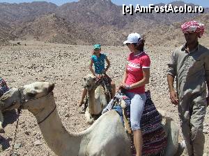 [P07] Pregatirea de plimbare cu camila » foto by Quasar
 - 
<span class="allrVoted glyphicon glyphicon-heart hidden" id="av373026"></span>
<a class="m-l-10 hidden" id="sv373026" onclick="voting_Foto_DelVot(,373026,12899)" role="button">șterge vot <span class="glyphicon glyphicon-remove"></span></a>
<a id="v9373026" class=" c-red"  onclick="voting_Foto_SetVot(373026)" role="button"><span class="glyphicon glyphicon-heart-empty"></span> <b>LIKE</b> = Votează poza</a> <img class="hidden"  id="f373026W9" src="/imagini/loader.gif" border="0" /><span class="AjErrMes hidden" id="e373026ErM"></span>