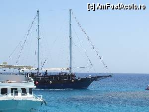 [P08] In rezervatia de corali » foto by Quasar
 - 
<span class="allrVoted glyphicon glyphicon-heart hidden" id="av373027"></span>
<a class="m-l-10 hidden" id="sv373027" onclick="voting_Foto_DelVot(,373027,12899)" role="button">șterge vot <span class="glyphicon glyphicon-remove"></span></a>
<a id="v9373027" class=" c-red"  onclick="voting_Foto_SetVot(373027)" role="button"><span class="glyphicon glyphicon-heart-empty"></span> <b>LIKE</b> = Votează poza</a> <img class="hidden"  id="f373027W9" src="/imagini/loader.gif" border="0" /><span class="AjErrMes hidden" id="e373027ErM"></span>