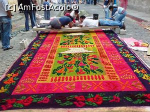 [P03]  -- <small>// FĂRĂ DESCRIERE</small> » foto by webmaster <span class="label label-default labelC_thin small">NEVOTABILĂ</span>