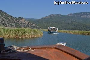 [P02]  -- <small>// FĂRĂ DESCRIERE</small> » foto by clauman2000
 - 
<span class="allrVoted glyphicon glyphicon-heart hidden" id="av524640"></span>
<a class="m-l-10 hidden" id="sv524640" onclick="voting_Foto_DelVot(,524640,12951)" role="button">șterge vot <span class="glyphicon glyphicon-remove"></span></a>
<a id="v9524640" class=" c-red"  onclick="voting_Foto_SetVot(524640)" role="button"><span class="glyphicon glyphicon-heart-empty"></span> <b>LIKE</b> = Votează poza</a> <img class="hidden"  id="f524640W9" src="/imagini/loader.gif" border="0" /><span class="AjErrMes hidden" id="e524640ErM"></span>