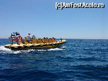 [P04] Speedboat » foto by Ciprian_74
 - 
<span class="allrVoted glyphicon glyphicon-heart hidden" id="av376614"></span>
<a class="m-l-10 hidden" id="sv376614" onclick="voting_Foto_DelVot(,376614,12986)" role="button">șterge vot <span class="glyphicon glyphicon-remove"></span></a>
<a id="v9376614" class=" c-red"  onclick="voting_Foto_SetVot(376614)" role="button"><span class="glyphicon glyphicon-heart-empty"></span> <b>LIKE</b> = Votează poza</a> <img class="hidden"  id="f376614W9" src="/imagini/loader.gif" border="0" /><span class="AjErrMes hidden" id="e376614ErM"></span>
