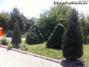 [P01] Gradina...  » foto by liviunicolae
 - 
<span class="allrVoted glyphicon glyphicon-heart hidden" id="av458837"></span>
<a class="m-l-10 hidden" id="sv458837" onclick="voting_Foto_DelVot(,458837,13021)" role="button">șterge vot <span class="glyphicon glyphicon-remove"></span></a>
<a id="v9458837" class=" c-red"  onclick="voting_Foto_SetVot(458837)" role="button"><span class="glyphicon glyphicon-heart-empty"></span> <b>LIKE</b> = Votează poza</a> <img class="hidden"  id="f458837W9" src="/imagini/loader.gif" border="0" /><span class="AjErrMes hidden" id="e458837ErM"></span>