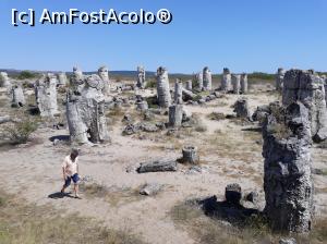 [P05] Pobiti Kamani (Pădurea de piatră).  » foto by Aurici
 - 
<span class="allrVoted glyphicon glyphicon-heart hidden" id="av945830"></span>
<a class="m-l-10 hidden" id="sv945830" onclick="voting_Foto_DelVot(,945830,13043)" role="button">șterge vot <span class="glyphicon glyphicon-remove"></span></a>
<a id="v9945830" class=" c-red"  onclick="voting_Foto_SetVot(945830)" role="button"><span class="glyphicon glyphicon-heart-empty"></span> <b>LIKE</b> = Votează poza</a> <img class="hidden"  id="f945830W9" src="/imagini/loader.gif" border="0" /><span class="AjErrMes hidden" id="e945830ErM"></span>