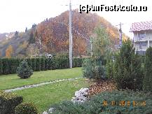 [P08]  -- <small>// FĂRĂ DESCRIERE</small> » foto by valentinai
 - 
<span class="allrVoted glyphicon glyphicon-heart hidden" id="av382254"></span>
<a class="m-l-10 hidden" id="sv382254" onclick="voting_Foto_DelVot(,382254,13118)" role="button">șterge vot <span class="glyphicon glyphicon-remove"></span></a>
<a id="v9382254" class=" c-red"  onclick="voting_Foto_SetVot(382254)" role="button"><span class="glyphicon glyphicon-heart-empty"></span> <b>LIKE</b> = Votează poza</a> <img class="hidden"  id="f382254W9" src="/imagini/loader.gif" border="0" /><span class="AjErrMes hidden" id="e382254ErM"></span>