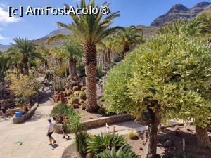 [P16] Cactualdea Park » foto by crismis
 - 
<span class="allrVoted glyphicon glyphicon-heart hidden" id="av1489447"></span>
<a class="m-l-10 hidden" id="sv1489447" onclick="voting_Foto_DelVot(,1489447,13127)" role="button">șterge vot <span class="glyphicon glyphicon-remove"></span></a>
<a id="v91489447" class=" c-red"  onclick="voting_Foto_SetVot(1489447)" role="button"><span class="glyphicon glyphicon-heart-empty"></span> <b>LIKE</b> = Votează poza</a> <img class="hidden"  id="f1489447W9" src="/imagini/loader.gif" border="0" /><span class="AjErrMes hidden" id="e1489447ErM"></span>