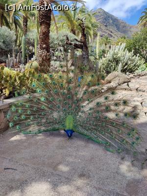 [P17] Cactualdea Park » foto by crismis
 - 
<span class="allrVoted glyphicon glyphicon-heart hidden" id="av1489448"></span>
<a class="m-l-10 hidden" id="sv1489448" onclick="voting_Foto_DelVot(,1489448,13127)" role="button">șterge vot <span class="glyphicon glyphicon-remove"></span></a>
<a id="v91489448" class=" c-red"  onclick="voting_Foto_SetVot(1489448)" role="button"><span class="glyphicon glyphicon-heart-empty"></span> <b>LIKE</b> = Votează poza</a> <img class="hidden"  id="f1489448W9" src="/imagini/loader.gif" border="0" /><span class="AjErrMes hidden" id="e1489448ErM"></span>