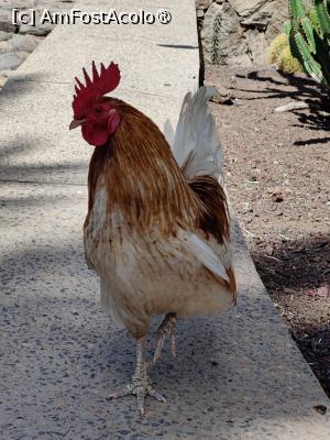 [P19] Cactualdea Park » foto by crismis
 - 
<span class="allrVoted glyphicon glyphicon-heart hidden" id="av1489450"></span>
<a class="m-l-10 hidden" id="sv1489450" onclick="voting_Foto_DelVot(,1489450,13127)" role="button">șterge vot <span class="glyphicon glyphicon-remove"></span></a>
<a id="v91489450" class=" c-red"  onclick="voting_Foto_SetVot(1489450)" role="button"><span class="glyphicon glyphicon-heart-empty"></span> <b>LIKE</b> = Votează poza</a> <img class="hidden"  id="f1489450W9" src="/imagini/loader.gif" border="0" /><span class="AjErrMes hidden" id="e1489450ErM"></span>