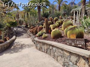 [P20] Cactualdea Park » foto by crismis
 - 
<span class="allrVoted glyphicon glyphicon-heart hidden" id="av1489451"></span>
<a class="m-l-10 hidden" id="sv1489451" onclick="voting_Foto_DelVot(,1489451,13127)" role="button">șterge vot <span class="glyphicon glyphicon-remove"></span></a>
<a id="v91489451" class=" c-red"  onclick="voting_Foto_SetVot(1489451)" role="button"><span class="glyphicon glyphicon-heart-empty"></span> <b>LIKE</b> = Votează poza</a> <img class="hidden"  id="f1489451W9" src="/imagini/loader.gif" border="0" /><span class="AjErrMes hidden" id="e1489451ErM"></span>