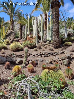 [P21] Cactualdea Park » foto by crismis
 - 
<span class="allrVoted glyphicon glyphicon-heart hidden" id="av1489452"></span>
<a class="m-l-10 hidden" id="sv1489452" onclick="voting_Foto_DelVot(,1489452,13127)" role="button">șterge vot <span class="glyphicon glyphicon-remove"></span></a>
<a id="v91489452" class=" c-red"  onclick="voting_Foto_SetVot(1489452)" role="button"><span class="glyphicon glyphicon-heart-empty"></span> <b>LIKE</b> = Votează poza</a> <img class="hidden"  id="f1489452W9" src="/imagini/loader.gif" border="0" /><span class="AjErrMes hidden" id="e1489452ErM"></span>